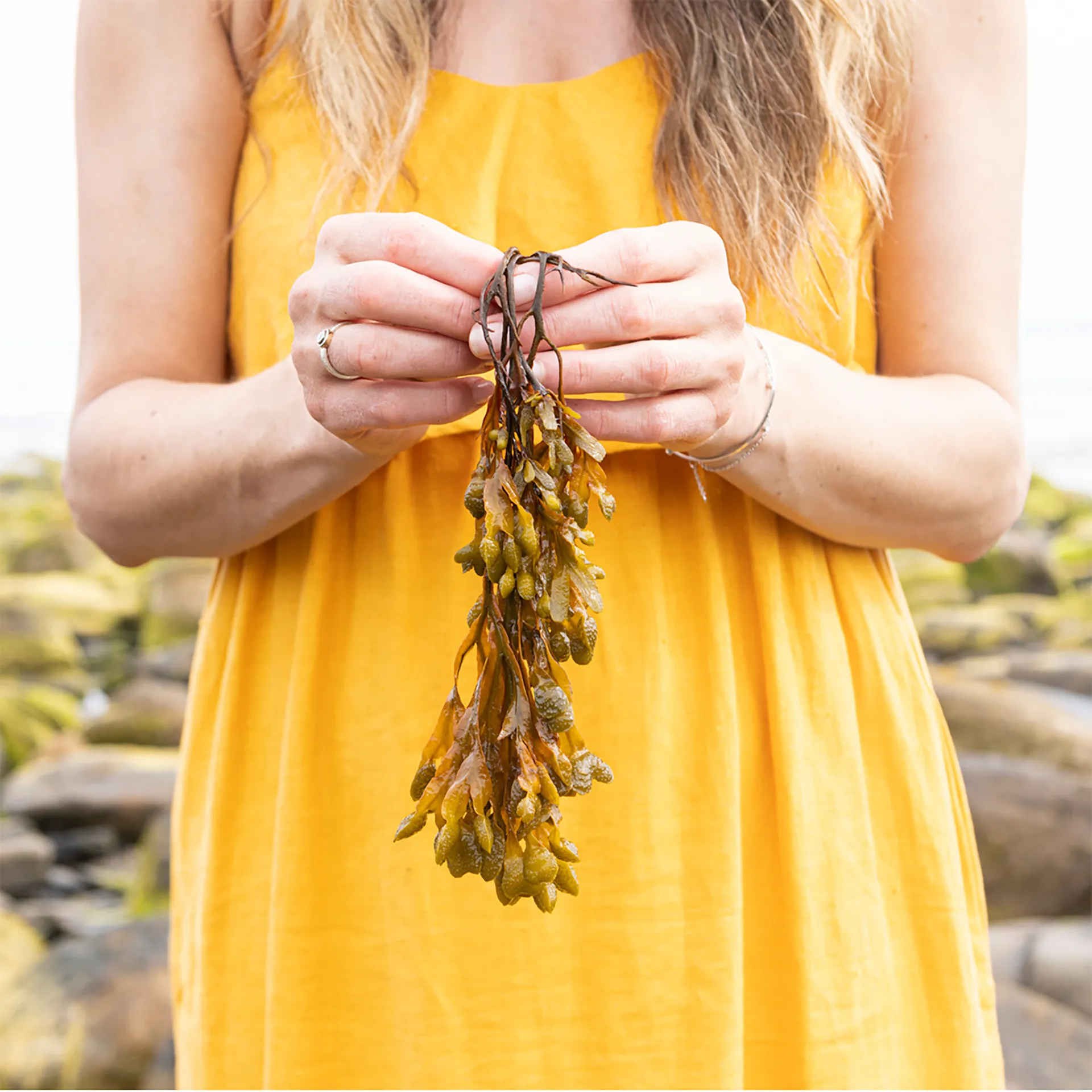 Selaore_ScienceIngredients_L4A3814 copy Seaweed in woman's hands