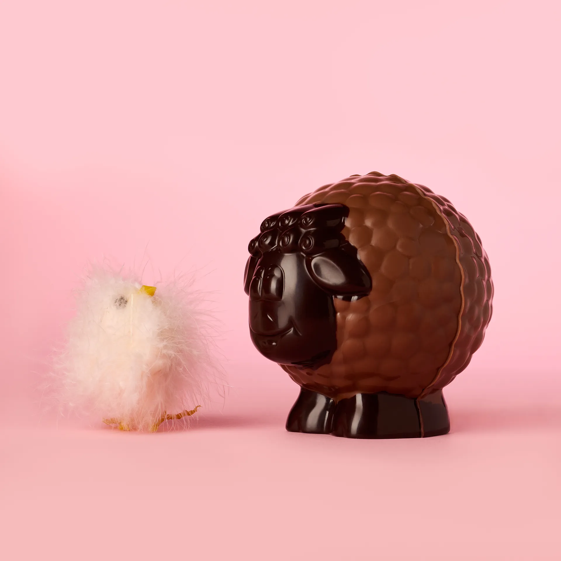 Clo Chocolates Product Photography E-Commerce